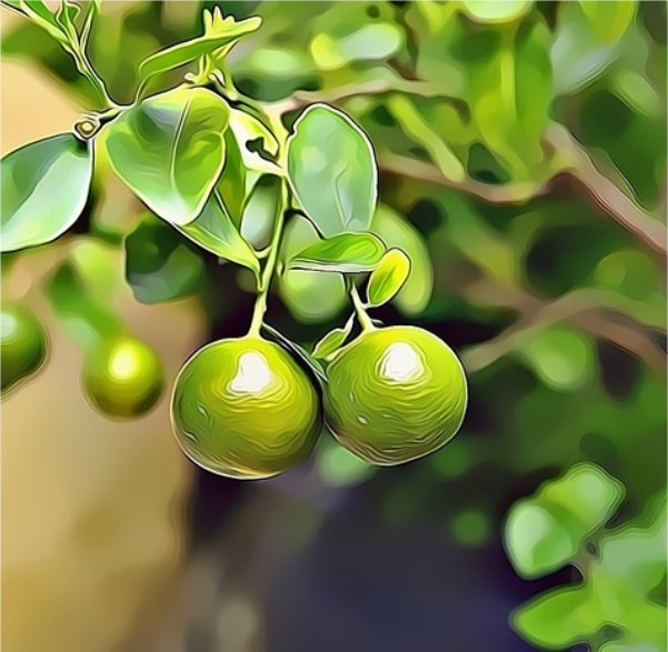 Guarana
