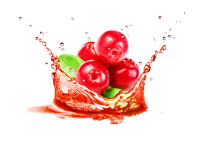 Red berries