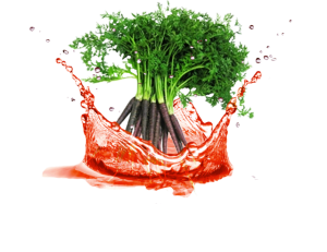 Black carrot