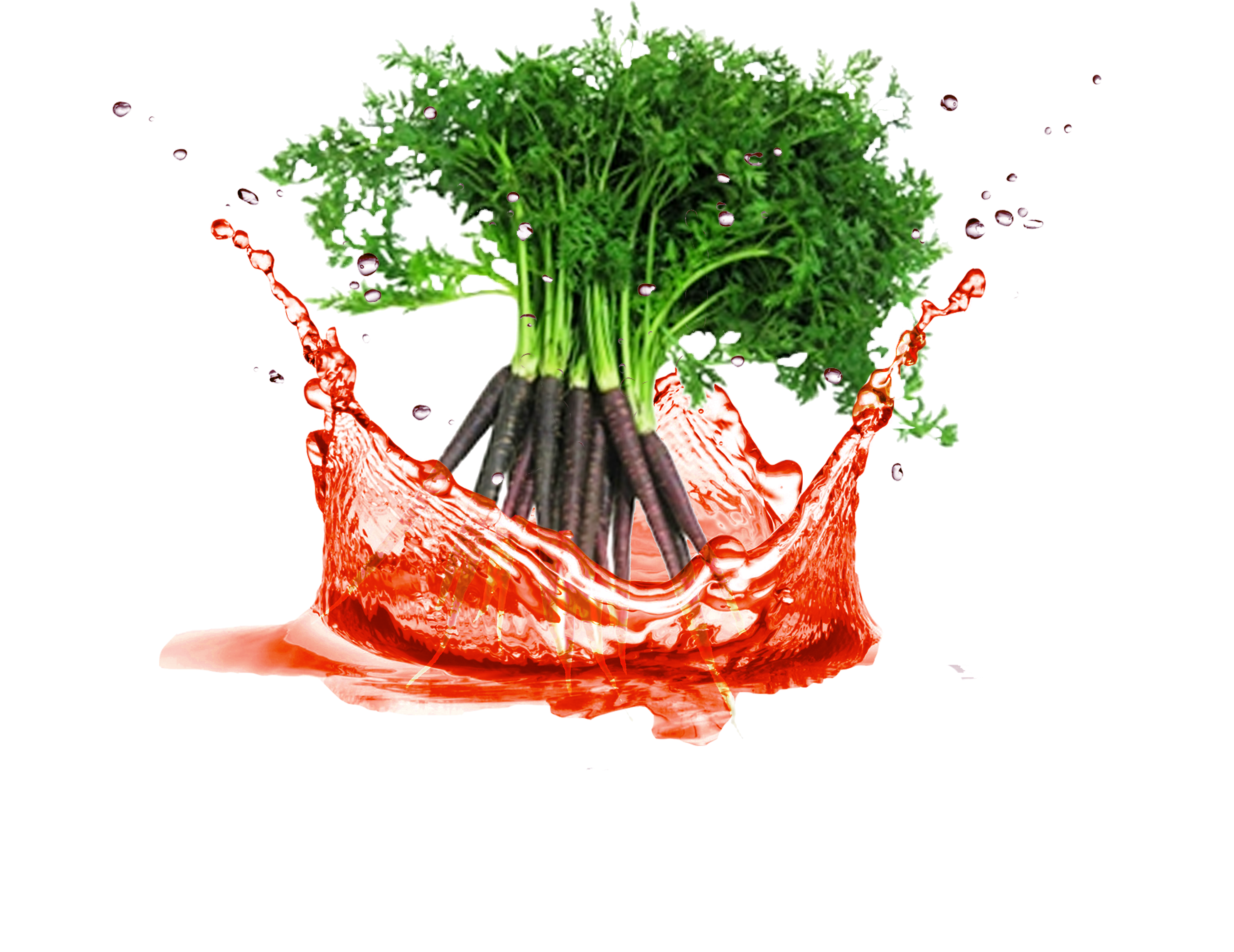 Black carrot